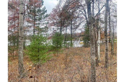 Deer Trail Road, Tomahawk, WI 54487