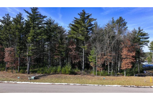 LOT 1 East Shore Trail, Wisconsin Rapids, WI 54494