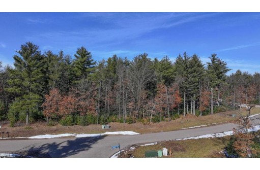 LOT 1 East Shore Trail, Wisconsin Rapids, WI 54494