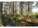 LOT 1 East Shore Trail, Wisconsin Rapids, WI 54494