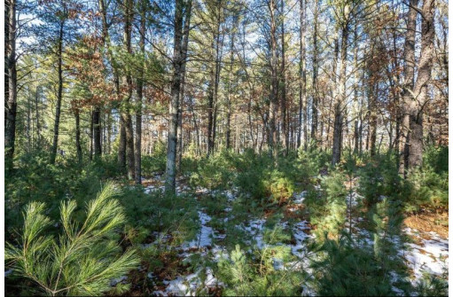 LOT 1 East Shore Trail, Wisconsin Rapids, WI 54494