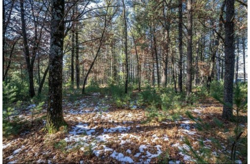 LOT 1 East Shore Trail, Wisconsin Rapids, WI 54494