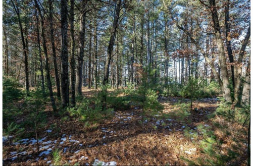 LOT 1 East Shore Trail, Wisconsin Rapids, WI 54494