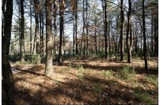 LOT 1 East Shore Trail, Wisconsin Rapids, WI 54494