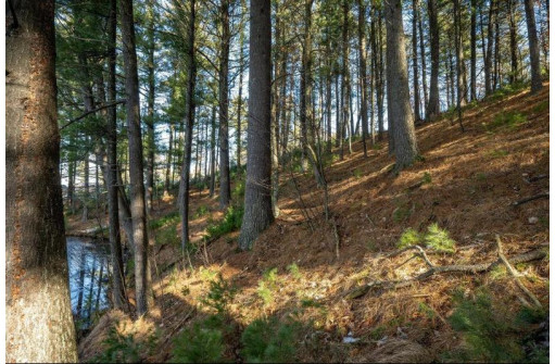 LOT 1 East Shore Trail, Wisconsin Rapids, WI 54494