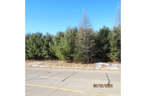 6 ACRES County Road H, Gleason, WI 54435