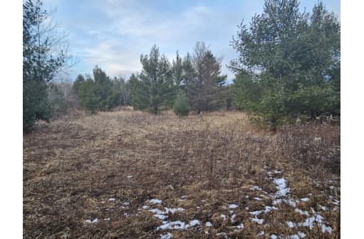 18.375 ACRES Stettin Drive, Wausau, WI 54401