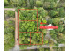 LOT 1 Forest Valley Road Wausau, WI 54403