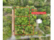 LOT 2 Forest Valley Road Wausau, WI 54403