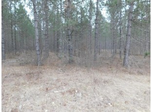 LOT 1 Brown Creek Road Tomahawk, WI 54487