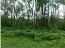 LOT 1 Brown Creek Road, Tomahawk, WI 54487