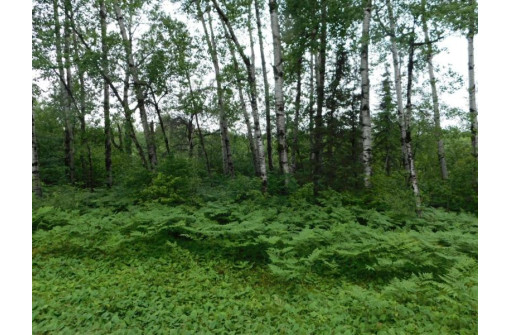 LOT 1 Brown Creek Road, Tomahawk, WI 54487