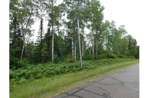 LOT 1 Brown Creek Road, Tomahawk, WI 54487