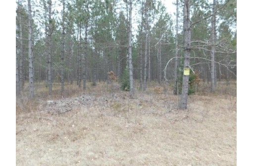 LOT 2 Brown Creek Road, Tomahawk, WI 54487