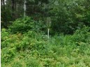 LOT 2 Brown Creek Road, Tomahawk, WI 54487