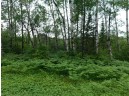 LOT 3 Brown Creek Road, Tomahawk, WI 54487