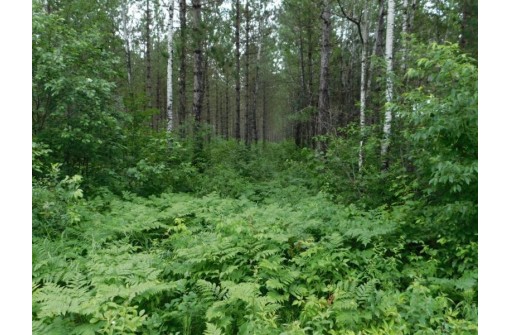 LOT 3 Brown Creek Road, Tomahawk, WI 54487