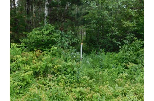 LOT 4 Brown Creek Road, Tomahawk, WI 54487