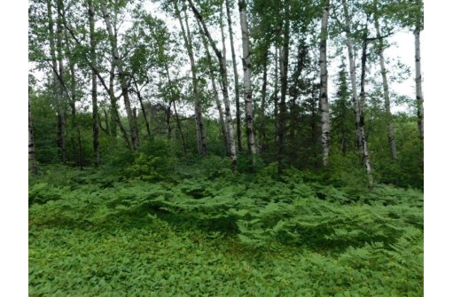 LOT 4 Brown Creek Road, Tomahawk, WI 54487