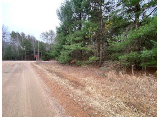 5.6 MOL ACRES Wood Lane Mosinee, WI 54455