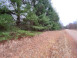 5.6 MOL ACRES Wood Lane Mosinee, WI 54455