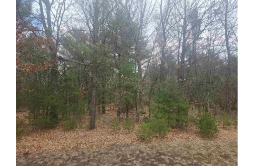 LOT 19 Oakbury Drive PARCEL 0704637, Wisconsin Rapids, WI 54494