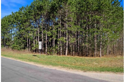 LOT 6 Lake Road PARCEL 0186806, Wisconsin Rapids, WI 54494