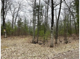 LOT 1 Lake Yawkey Drive Hazelhurst, WI 54531