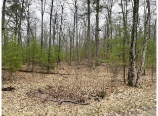 LOT 3 Lake Yawkey Drive Hazelhurst, WI 54531