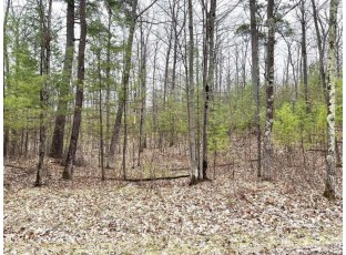 LOT 4 Lake Yawkey Drive Hazelhurst, WI 54531