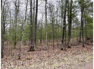 LOT 5 Lake Yawkey Drive Hazelhurst, WI 54531