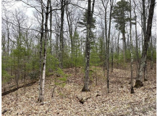 LOT 6 Lake Yawkey Drive Hazelhurst, WI 54531