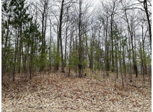 LOT 8 Lake Yawkey Drive Hazelhurst, WI 54531