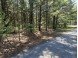 LOT 48 Dubay Pines Subdivision ALTENBURG ROAD Junction City, WI 54443