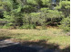 LOT 34 Dubay Pines Subdivision TULA LANE Junction City, WI 54443