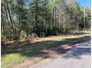 LOT 23 Dubay Pines Subdivision ALTENBURG ROAD Junction City, WI 54443