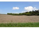 LT1 Kussman Road, Marion, WI 54950-0000