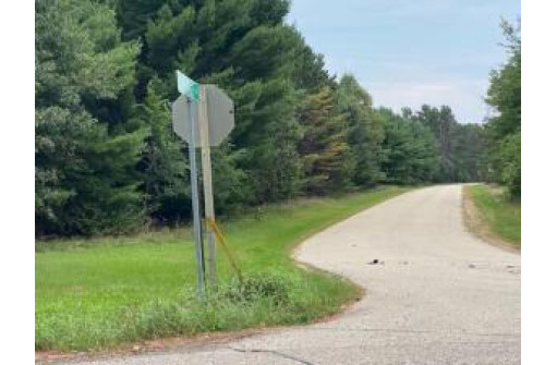 LT4 Carriage Road PCL251006490004, Montello, WI 53949