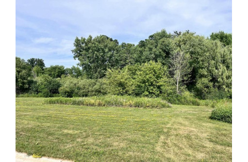 LT27 Wild Goose Lane, Sheboygan Falls, WI 53085