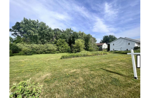 LT27 Wild Goose Lane, Sheboygan Falls, WI 53085