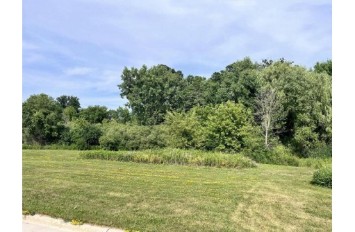 LT27 Wild Goose Lane, Sheboygan Falls, WI 53085