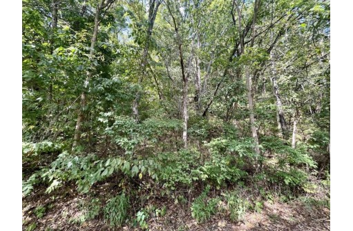 0000 Cliffwood Drive, Prairie Du Chien, WI 53821