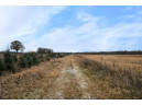 LT0 27th Lane, Redgranite, WI 54970