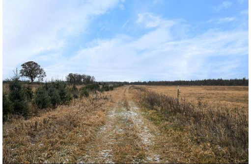 LT0 27th Lane, Redgranite, WI 54970