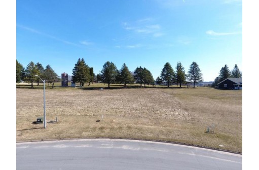 LOT 28 16th Fairway Drive, Viroqua, WI 54665-0000