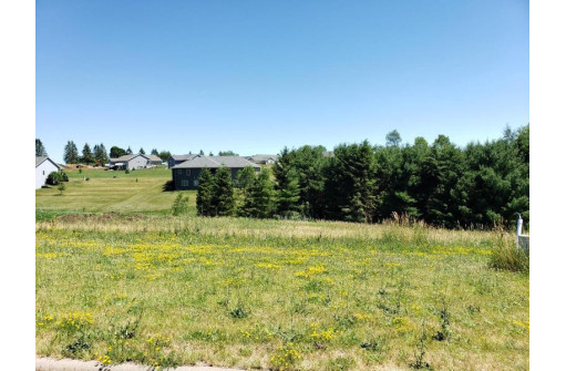 LOT 40 Crossing Meadows Drive, Viroqua, WI 54665-0000