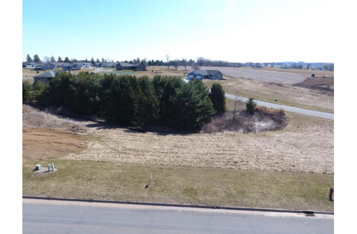 LOT 42 Crossing Meadows Drive, Viroqua, WI 54665-0000