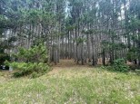 10976 Red Pine Way Waupaca, WI 54981