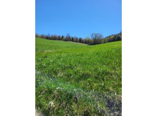 LOT 1 State Rd 95 Arcadia, WI 54612-8238