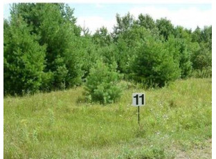 LOT 11 Owen Lane Cable, WI 54821